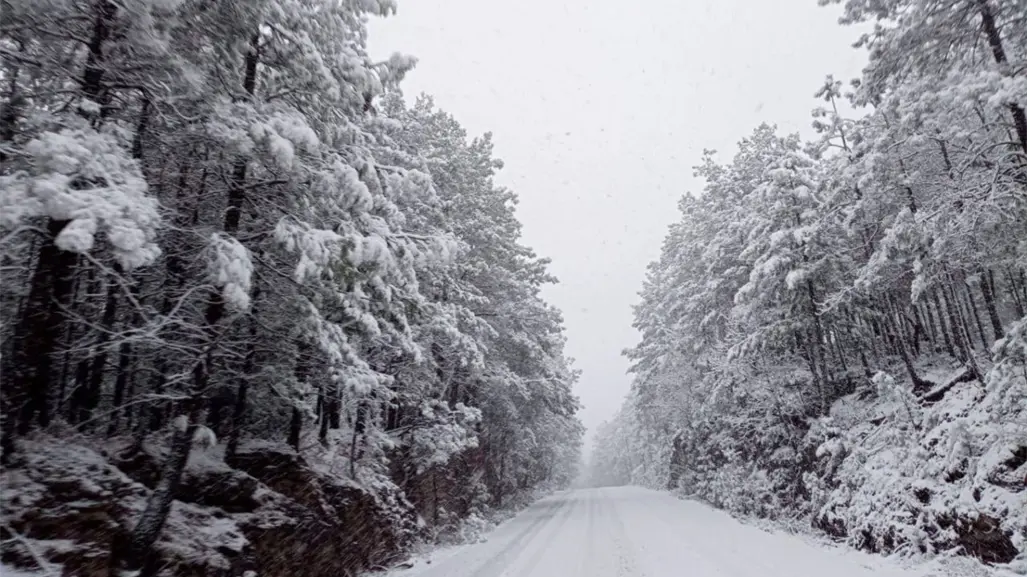 Frente frío 14: Estas comunidades presentaron temperaturas por debajo de 0° grados, según Conagua