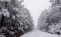 Frente frío 14: Estas comunidades presentaron temperaturas por debajo de 0° grados, según Conagua