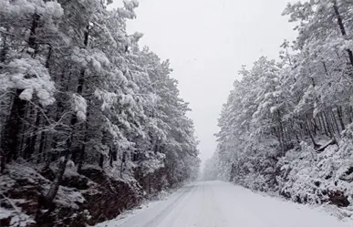 Frente frío 14: Estas comunidades presentaron temperaturas por debajo de 0° grados, según Conagua