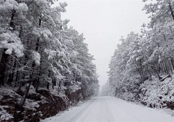 Frente frío 14: Estas comunidades presentaron temperaturas por debajo de 0° grados, según Conagua