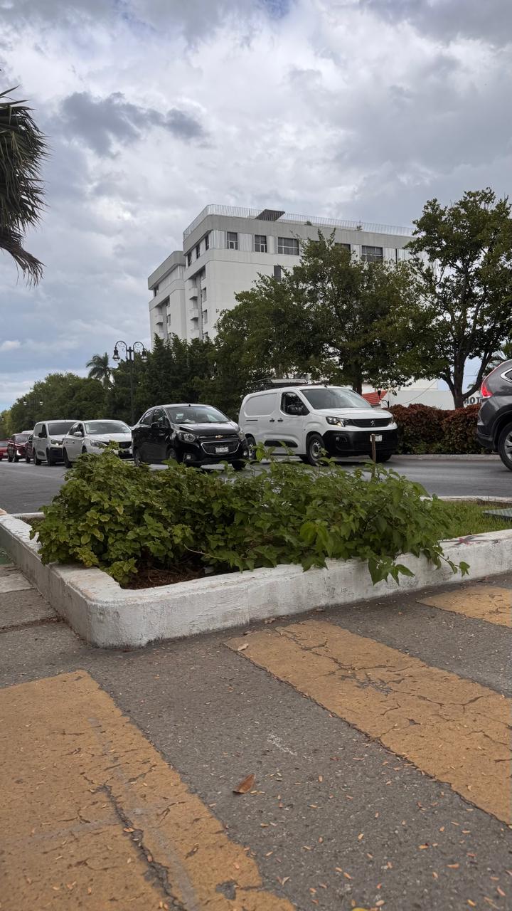 imagen-cuerpo imagen-cuerpo