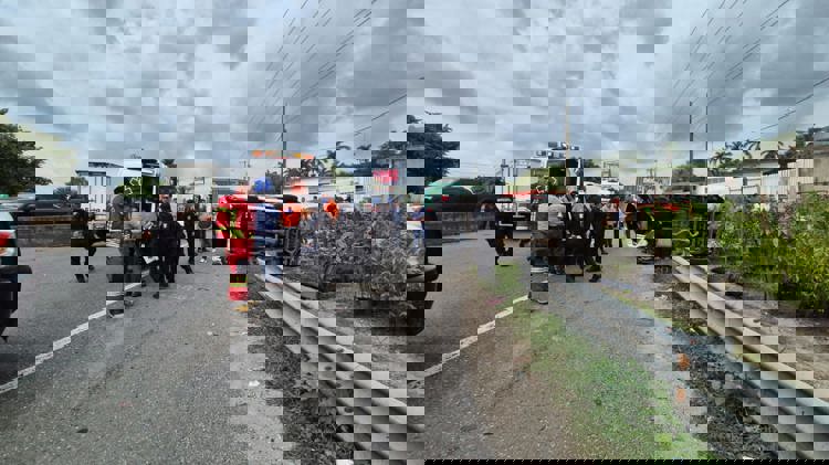 imagen-cuerpo imagen-cuerpo