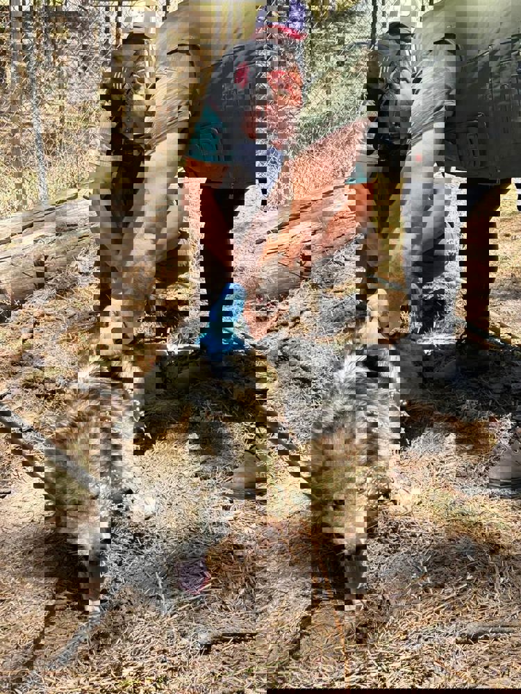 imagen-cuerpo imagen-cuerpo