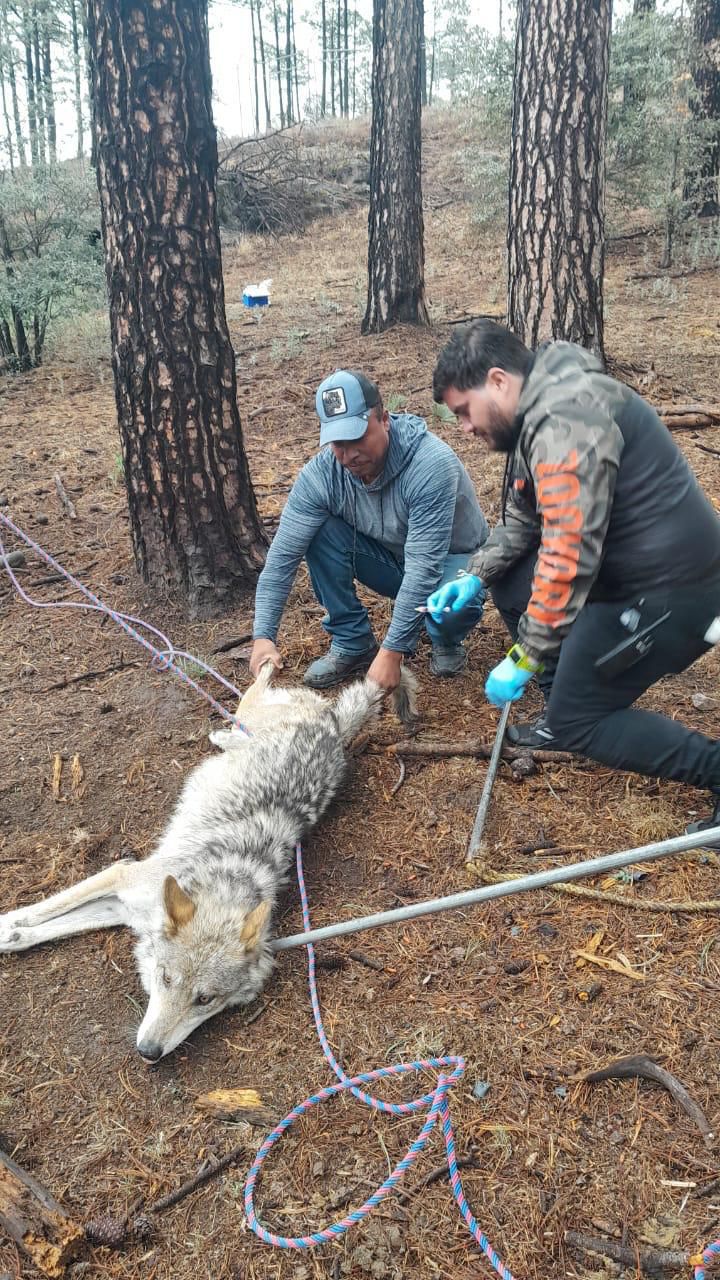 imagen-cuerpo imagen-cuerpo