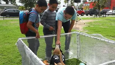 imagen recuadro imagen recuadro