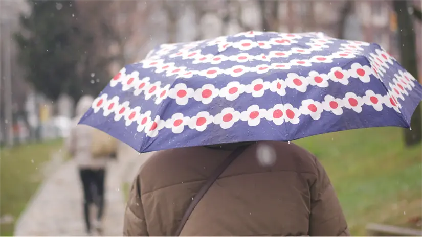 imagen recuadro FOTO: Canva