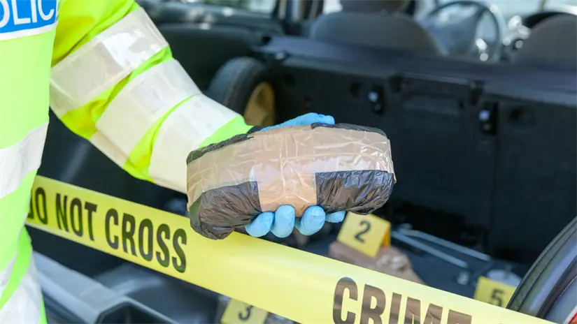 imagen recuadro FOTO: CANVA