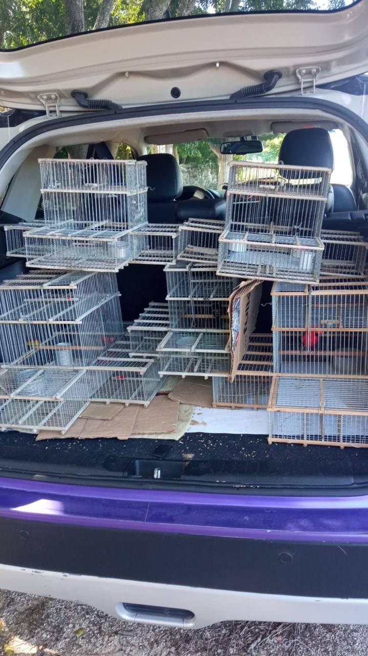 imagen-cuerpo imagen-cuerpo