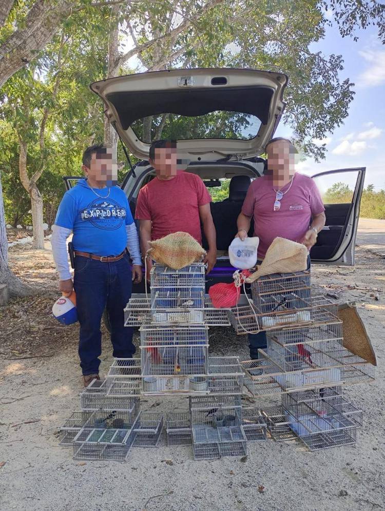 imagen-cuerpo imagen-cuerpo