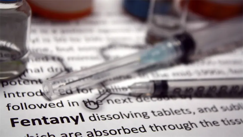 imagen recuadro FOTO: CANVA