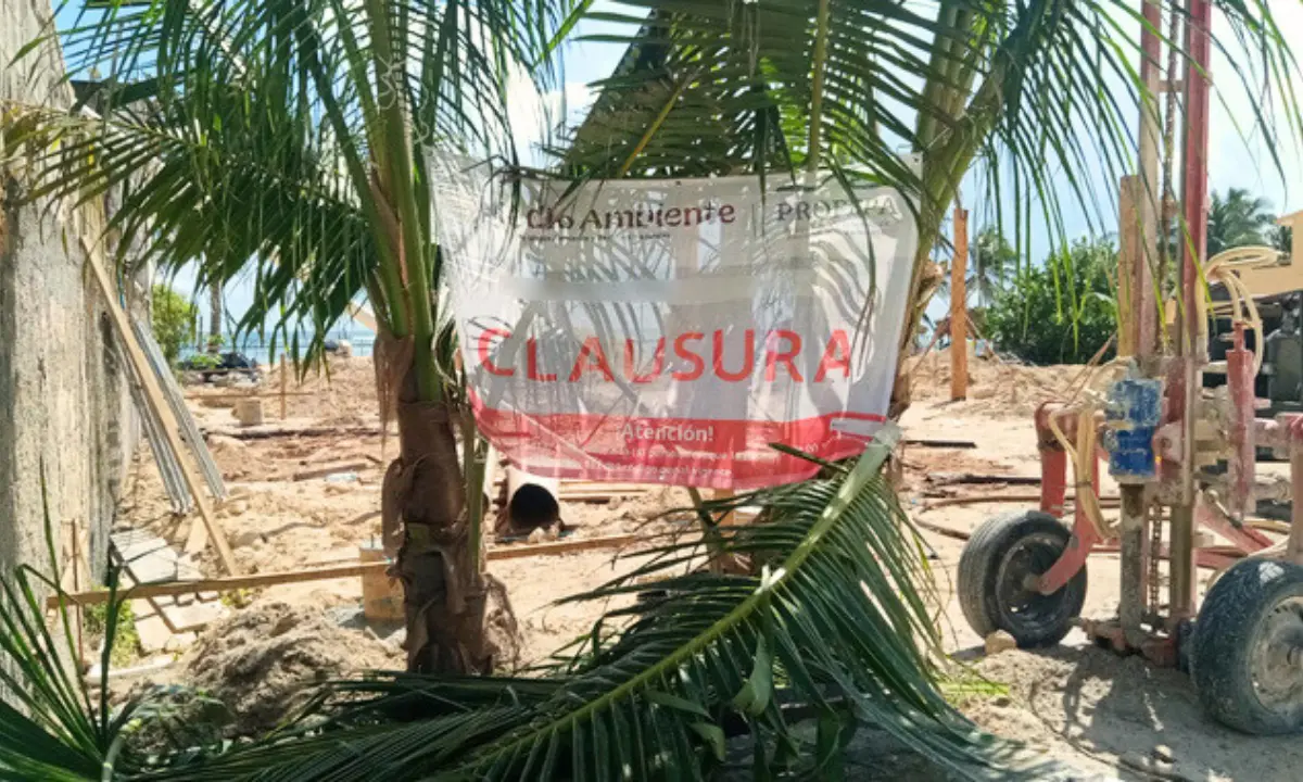 Sello de clausura en obras irregulares en el malecón de Mahahual Foto: Profepa