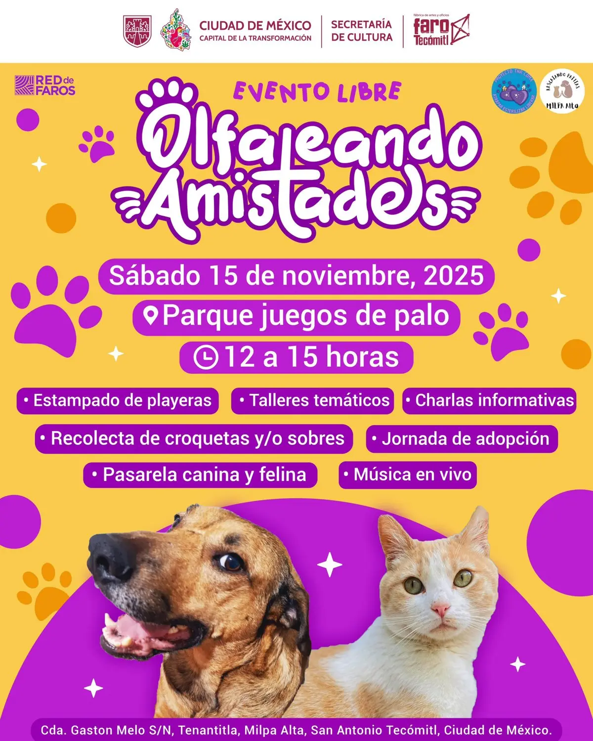 imagen recuadro Desfile de perros y gatos en la CDMX. Foto: X @CulturaCiudadMx