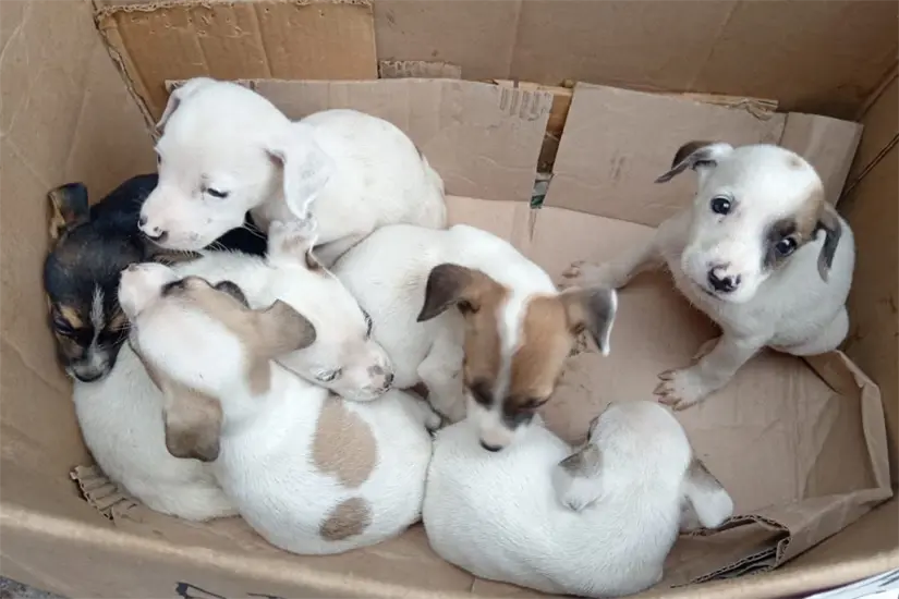 Foto: Juan Rodriguez 