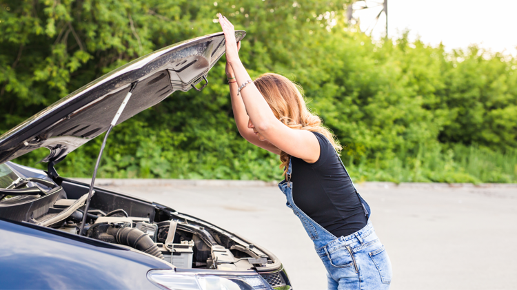 imagen-cuerpo imagen-cuerpo