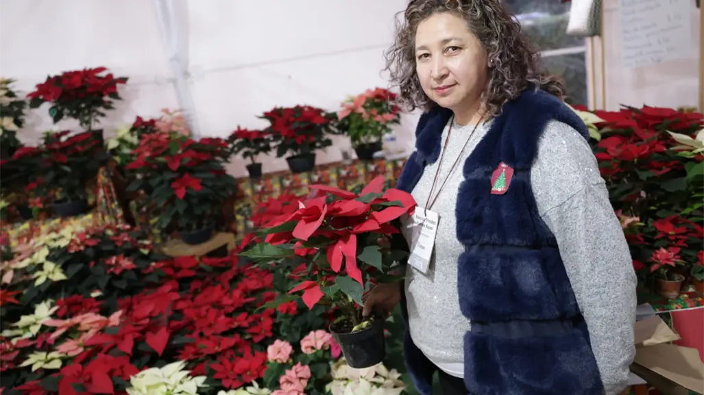 Edomex lanza la Expo Navidad Forestal 2025: horarios, ubicación y detalles