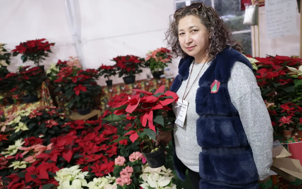 La Expo Navidad Forestal 2025 abrió sus puertas en el Parque Ambiental Bicentenario con miles de árboles y artesanías. Foto:X/ @CulturaEdomex