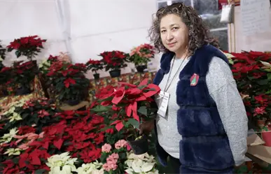 Edomex lanza la Expo Navidad Forestal 2025: horarios, ubicación y detalles