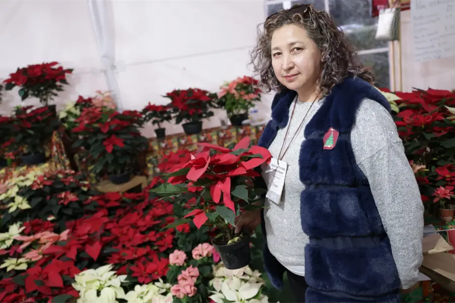 Edomex lanza la Expo Navidad Forestal 2025: horarios, ubicación y detalles