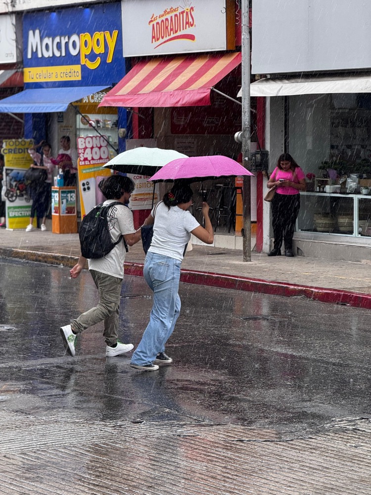 imagen-cuerpo imagen-cuerpo