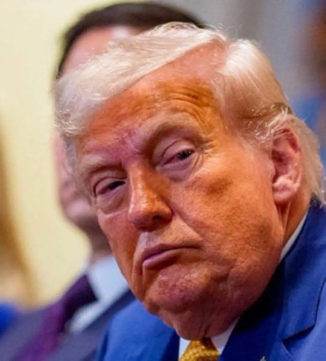 imagen recuadro Foto: X (@ML3democrats)