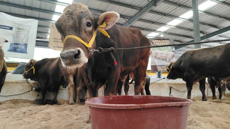 imagen-cuerpo imagen-cuerpo