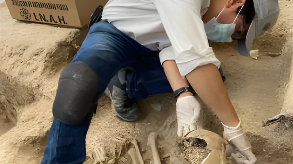 ¿Qué hallazgos arqueológicos y paleontológicos se han realizado en Tamaulipas en el último año? Esto se sabe