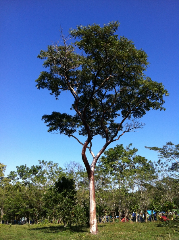 imagen-cuerpo imagen-cuerpo