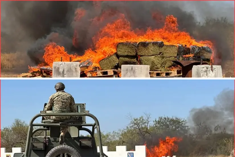 imagen recuadro Foto: FGR Tamaulipas