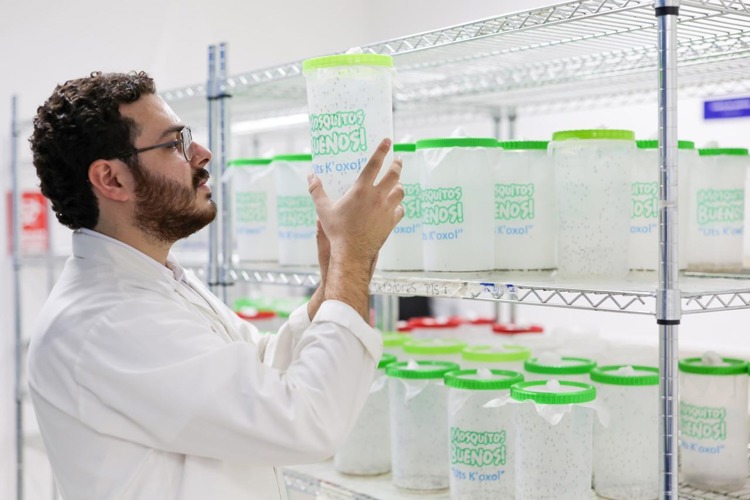 imagen-cuerpo imagen-cuerpo