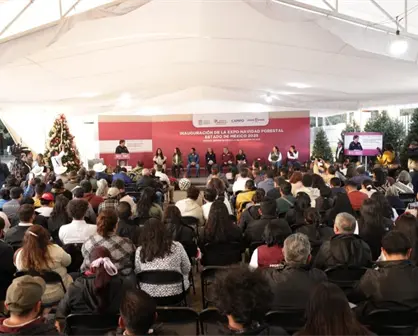 Navidad en el Edomex: aquí puedes elegir entre árboles naturales y artesanías locales