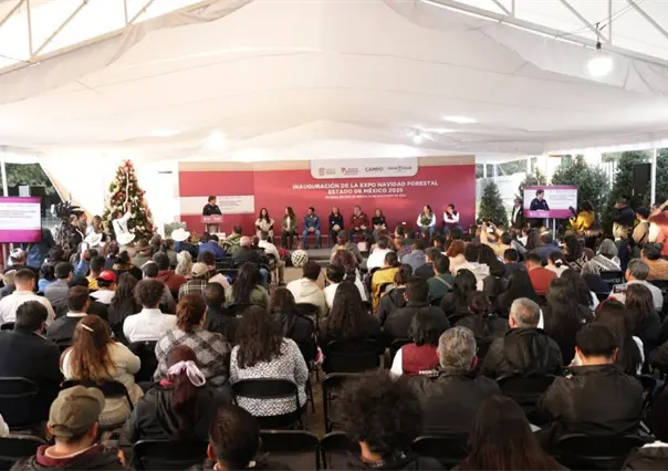 Navidad en el Edomex: aquí puedes elegir entre árboles naturales y artesanías locales