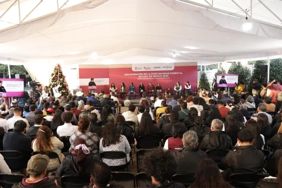 Navidad en el Edomex: aquí puedes elegir entre árboles naturales y artesanías locales