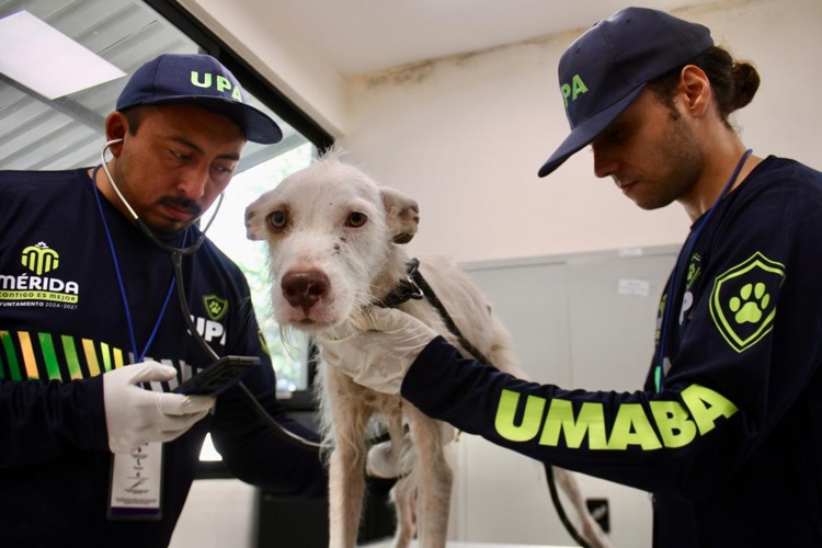 imagen-cuerpo imagen-cuerpo