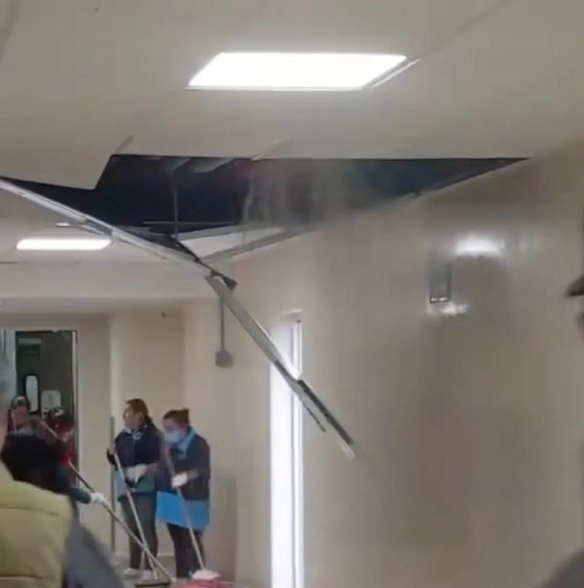 imagen recuadro Foto: Lánzate / Facebook.