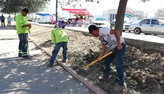 Saltillo limpia plazas y colonias, así puedes solicitar una brigada Aquí Andamos
