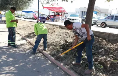 Saltillo limpia plazas y colonias, así puedes solicitar una brigada Aquí Andamos