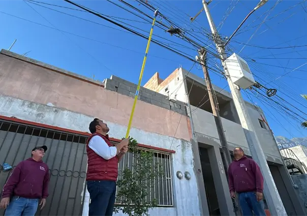 Santa Catarina retira más de 25 km de cable en desuso para mejorar el entorno