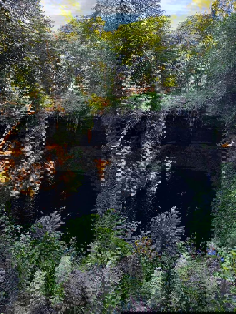 imagen-cuerpo imagen-cuerpo