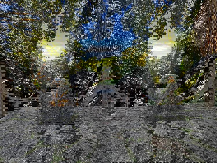 imagen-cuerpo imagen-cuerpo