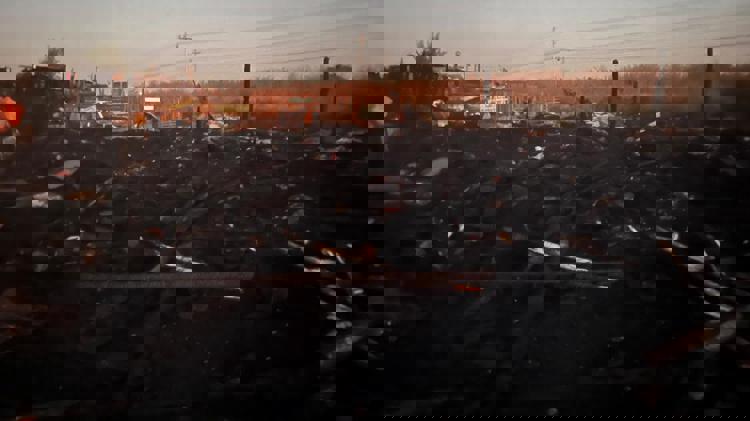 imagen-cuerpo imagen-cuerpo