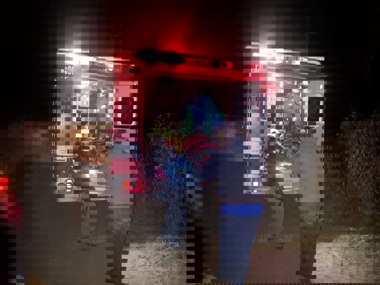 imagen-cuerpo imagen-cuerpo