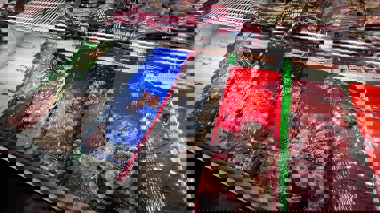 imagen-cuerpo imagen-cuerpo