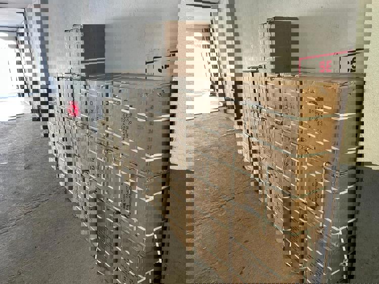 imagen-cuerpo imagen-cuerpo