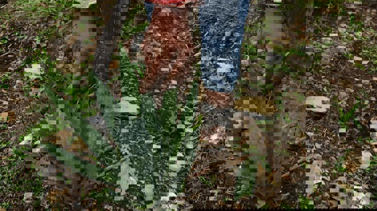 imagen-cuerpo imagen-cuerpo