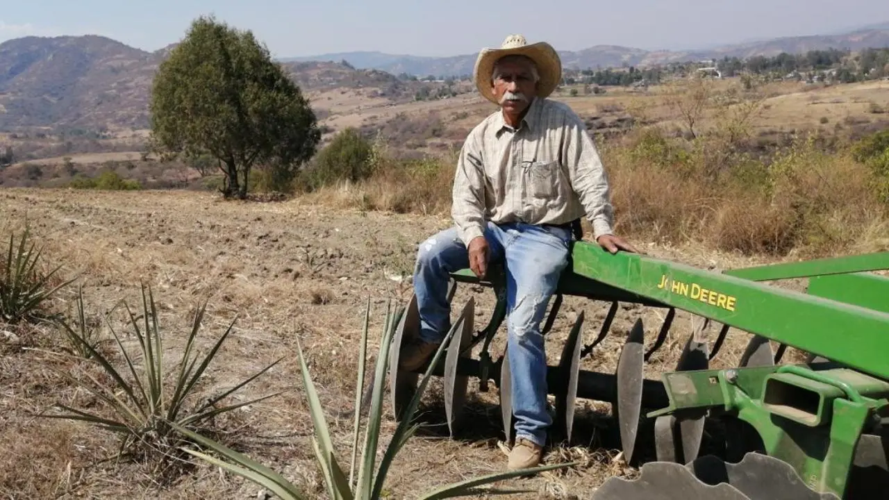 El sur del Edomex fortalece su producción de mezcal. Foto: @edomexinforma_