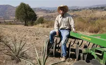 Agave sustentable: el sur del Edomex fortalece su producción de mezcal Agave sustentable: el sur del Edomex fortalece su producción de mezcal