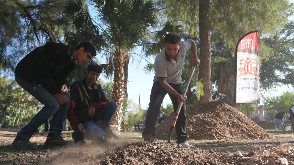 Bosque Venustiano Carranza en Torreón remplaza árboles viejos por 100 más