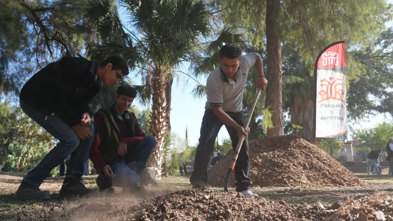 Como parte de un plan integral de seguridad, se realizó la tala controlada de árboles secos y de gran tamaño que representaban riesgo de caída para peatones y deportistas./Foto: Cortesía