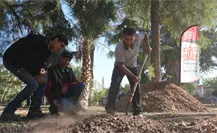 Bosque Venustiano Carranza en Torreón remplaza árboles viejos por 100 más Bosque Venustiano Carranza en Torreón remplaza árboles viejos por 100 más