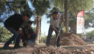 Bosque Venustiano Carranza en Torreón remplaza árboles viejos por 100 más